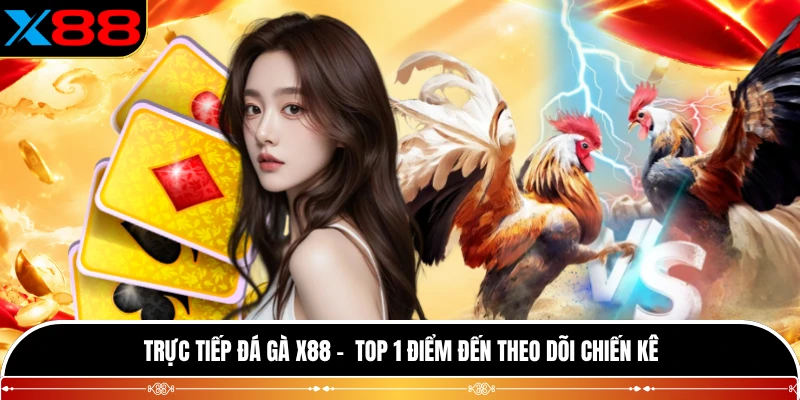 Trực Tiếp Đá Gà X88 - Top 1 Điểm Đến Theo Dõi Chiến Kê